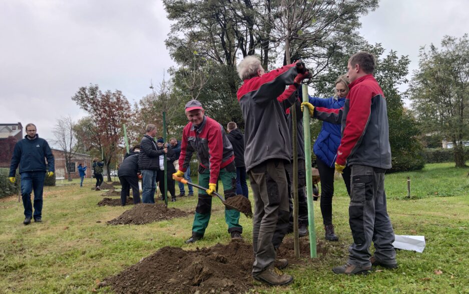 Światowy Dzień Drzewa w naszej spółce