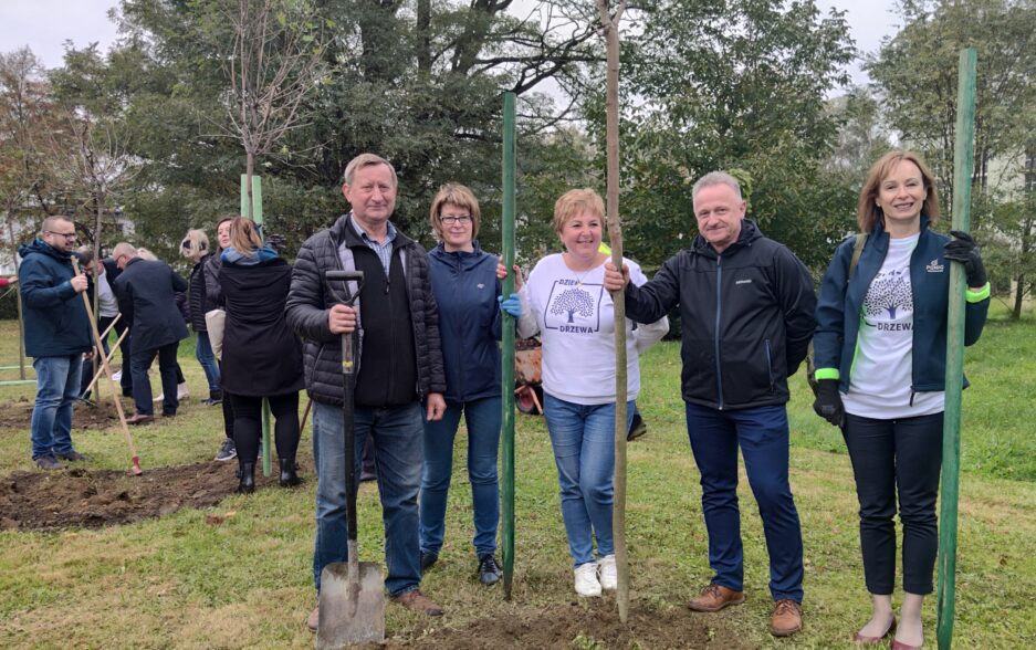 Światowy Dzień Drzewa w naszej spółce
