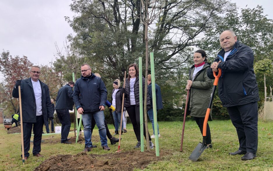 Światowy Dzień Drzewa w naszej spółce